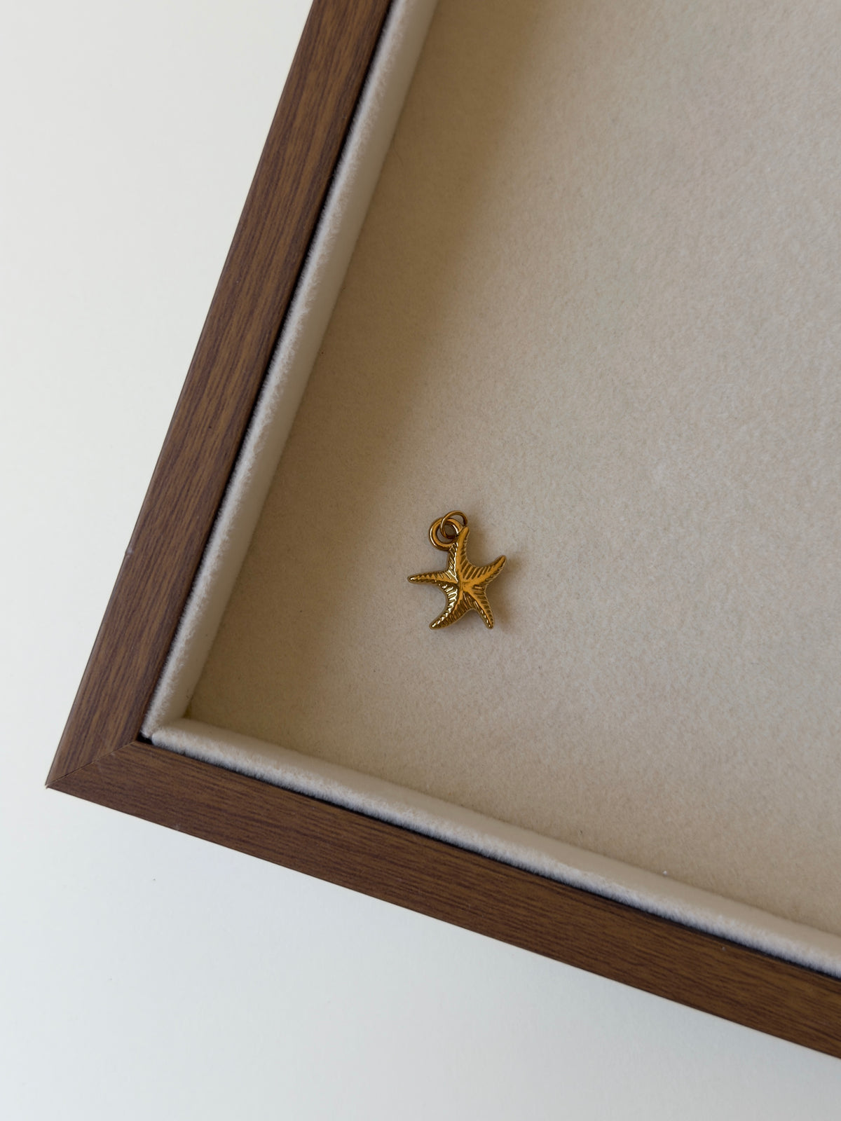 Charm Estrella de mar