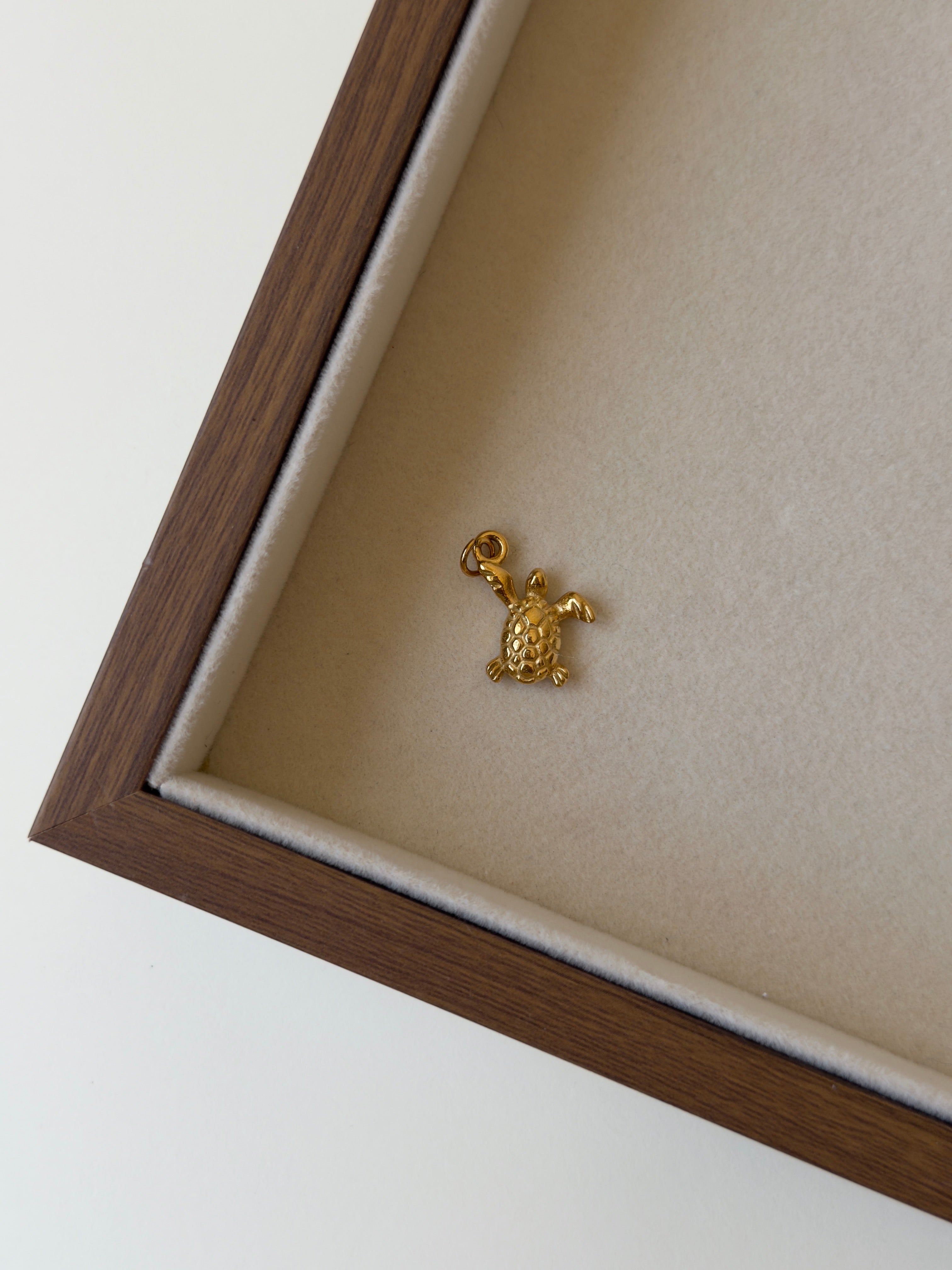 Charm Tortuga